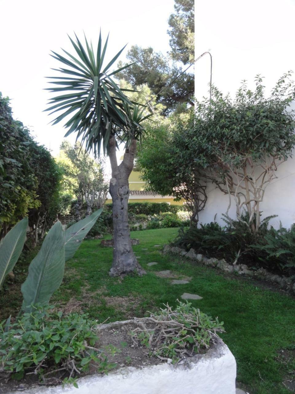 Apartamentos Elysium Torremolinos Esterno foto